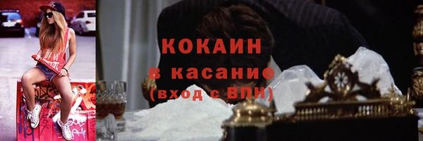 кокс Богородицк