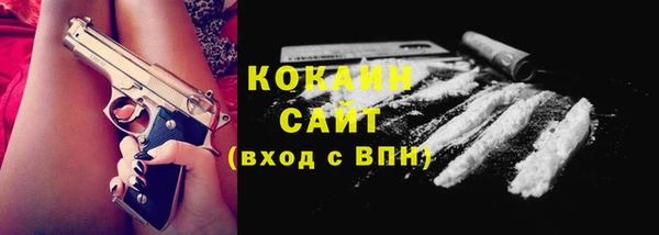 кокс Богородицк