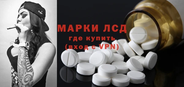 индика Богородск