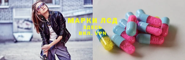 индика Богородск