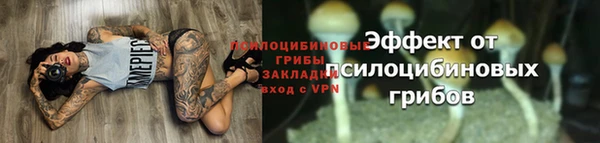 индика Богородск