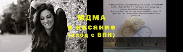индика Богородск