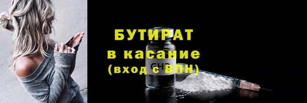 индика Богородск