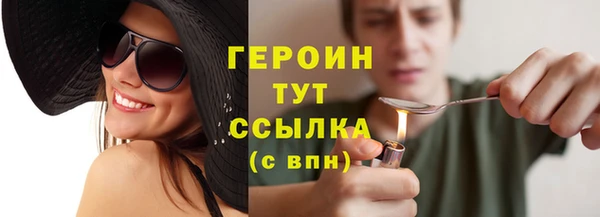 индика Богородск