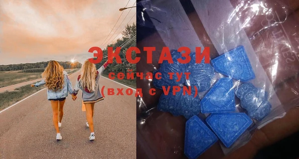 индика Богородск