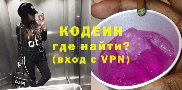 индика Богородск