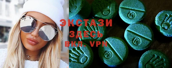 индика Богородск