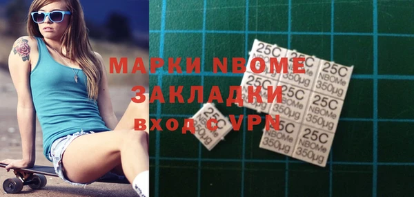 индика Богородск