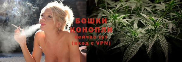 кокс Богородицк